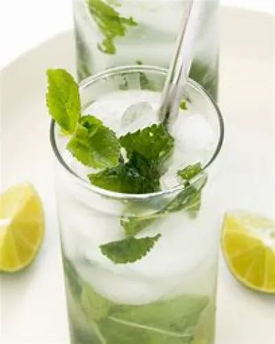 Mojito Mint